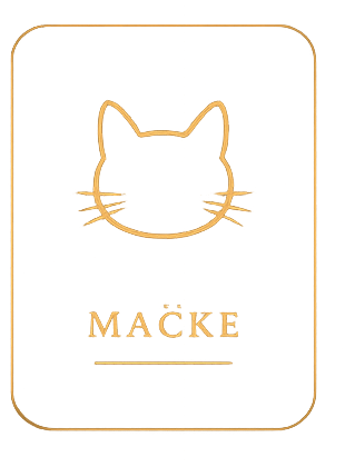 Mačke