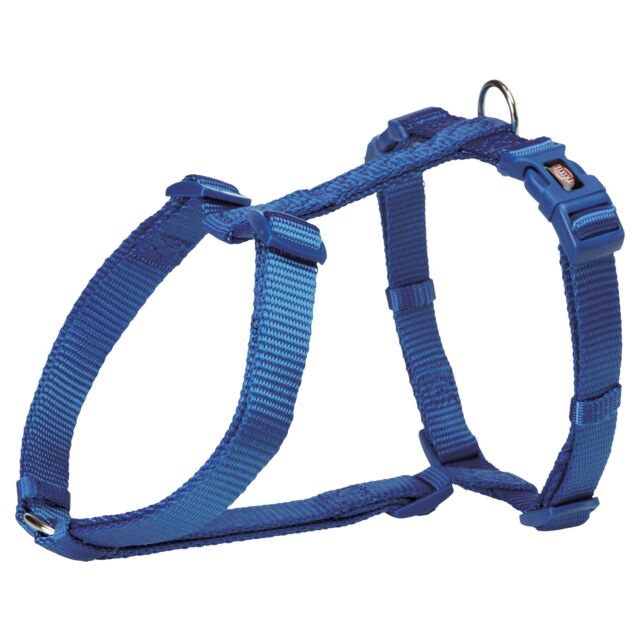 Am Premium H XS-S 30-44cm 10mm plavi