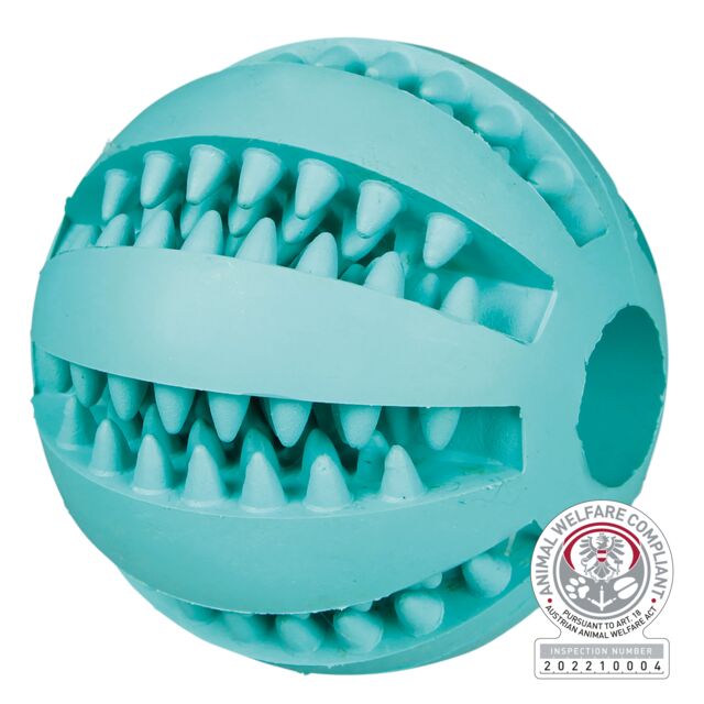 Denta fun mint lopta 6cm