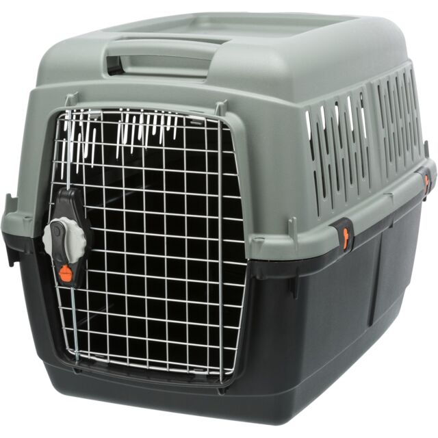 Giona 4 transporter S-M 50x51x70cm sivi
