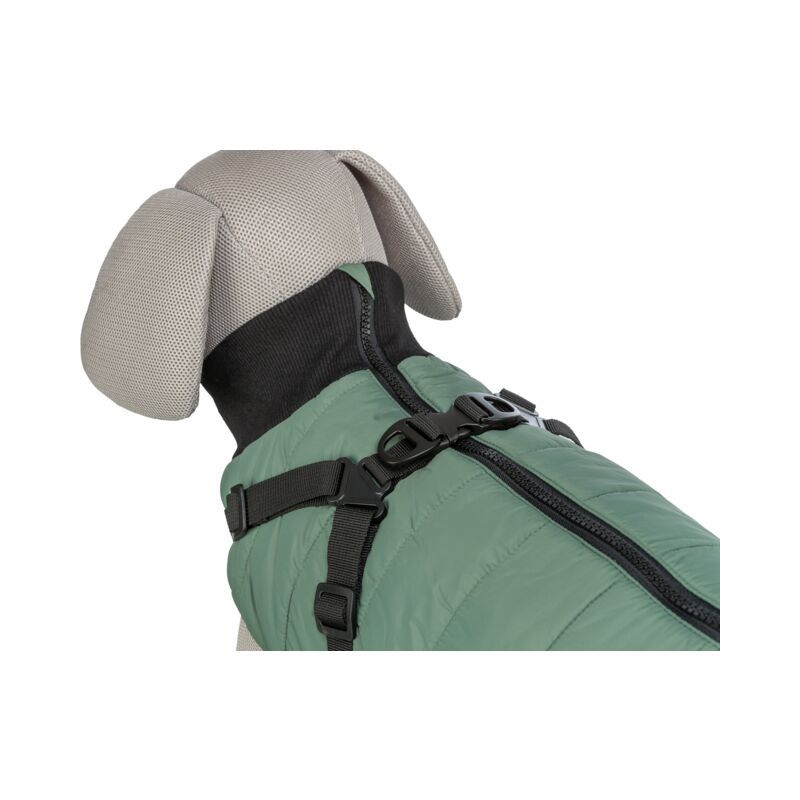 Odelce pontis sa amom XS 27cm maslinasto