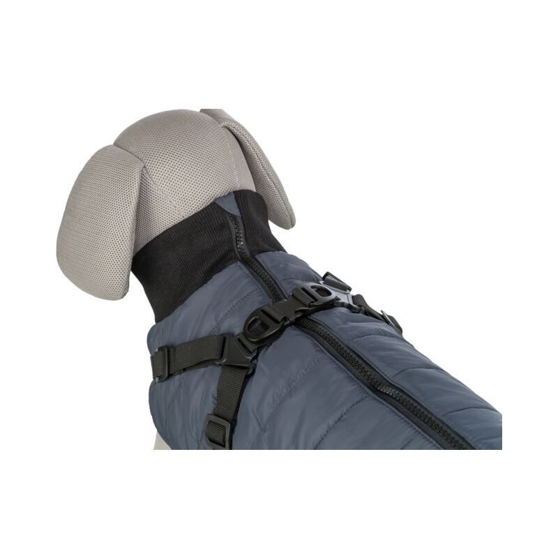 Odelce pontis sa amom XS 27cm teget