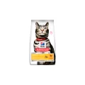 HSPC ADULT URINARY & STERILISED PILETINA 300g
